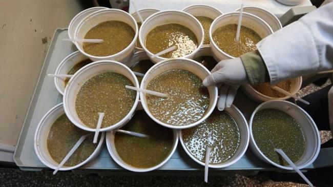 ΕΛΣΤΑΤ: Το 6,1% του πληθυσμού της χώρας αντιμετώπισε πέρυσι μέτρια και σοβαρή ανεπάρκεια τροφής