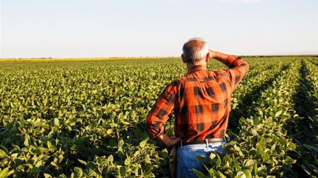 Συντάξεις: Ασφαλιστικός ρατσισμός κατά των αγροτών
