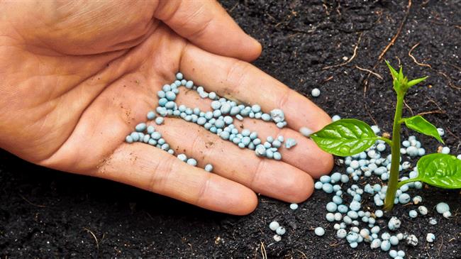 Η χρήση λιπασμάτων αζώτου και φωσφόρου στην ΕΕ συνεχίζει να μειώνεται