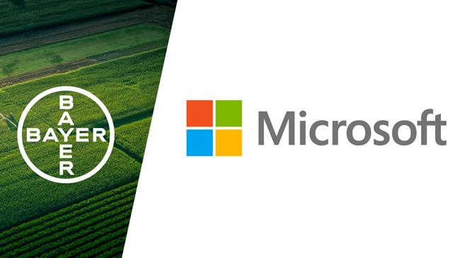 Η Bayer και η Microsoft προχωρούν σε στρατηγική συνεργασία