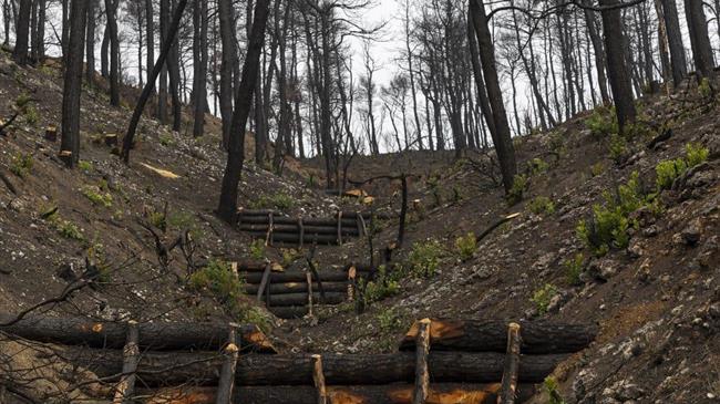 Σκρέκας από τη Βόρεια Εύβοια:  Εντυπωσιακός ο ρυθμός υλοποίησης των αντιδιαβρωτικών έργων