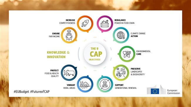 Κοινή Γεωργική Πολιτική: Πώς η ΕΕ στηρίζει τους αγρότες της;