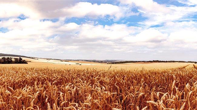 Πώς έγινε η κατανομή των άμεσων ενισχύσεων στις Περιφέρειες της  Ελλάδας (NUTS II)