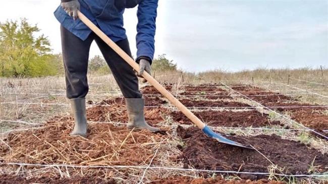 Θεσσαλονίκη: Έβαλαν το στάρι στον καφέ ως καλαμάκι και τώρα βάζουν τον καφέ στο χωράφι με το στάρι ως λίπασμα