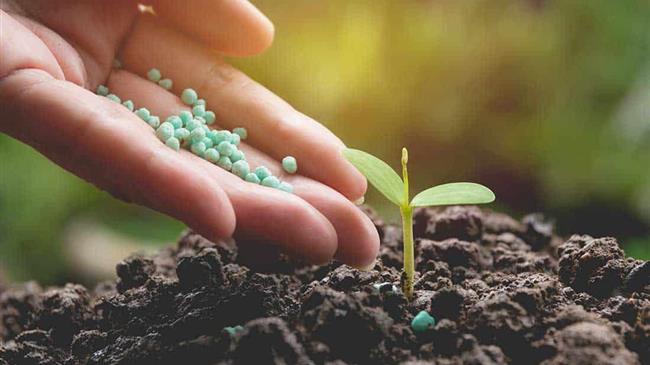 Τρόποι εφαρμογής λιπασμάτων στο έδαφος του οπωρώνα