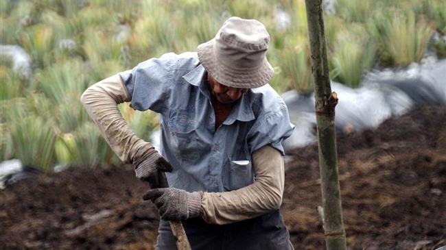 Γιατί οι αγρότες της Ευρώπης παλεύουν με την ψυχική υγεία;