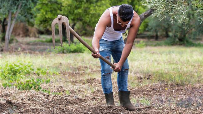 ΕΘΕΑΣ: Επιστολή στο ΥΠΑΑΤ για τους νέους γεωργούς