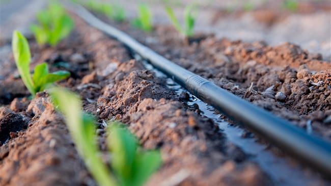 Άμεσες και μεσοπρόθεσμες λύσεις άρδευσης περιοχών του Δήμου Ορχομενού