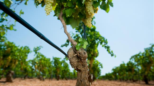 Εγκρίθηκαν από τη διυπουργική των ΣΔΙΤ τα έργα άρδευσης ΤΟΕΒ Ταυρωπού και Μιναγιώτικου φράγματος