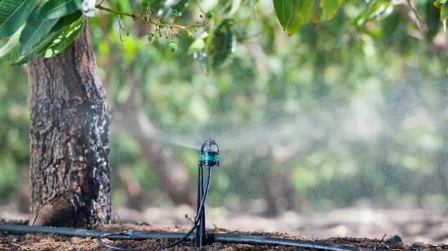 Ενιαίος Αγροτικός Σύλλογος Ιεράπετρας: ΕΤΜΕΑΡ για το σύνολο των αγροτών /κτηνοτρόφων