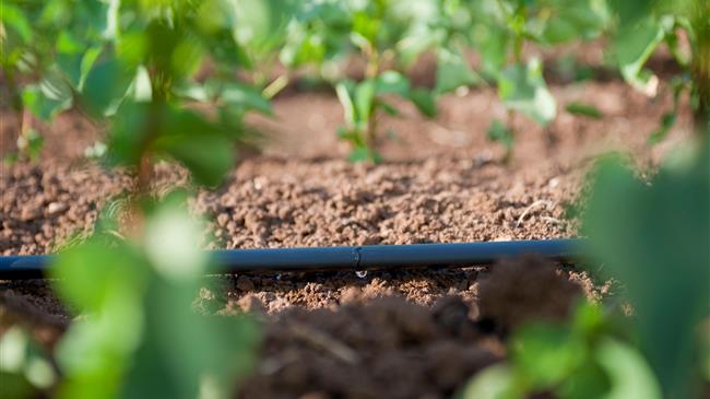 Νέα ευκαιρία για τους αγρότες να μειώσουν τη ρύπανση νερού