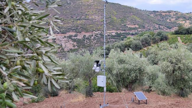 «Στράβων»: Αγρομετεωρολογικοί σταθμοί σε όλη την Ελλάδα για καλύτερη διαχείριση καλλιεργειών