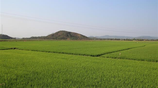 ΟΠΕΚΕΠΕ: Παράταση στην υποβολή αιτήσεων μεταβίβασης δικαιωμάτων