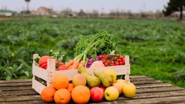 Κόκκαλης σε Τσιάρα: Ποια είναι η πολιτική σας για την ανάπτυξη της βιολογικής παραγωγής προς όφελος παραγωγών και καταναλωτών;