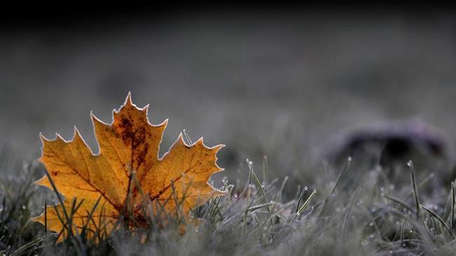 Κοντά στον μέσο όρο της τελευταίας δεκαετίας η θερμοκρασία του Νοεμβρίου