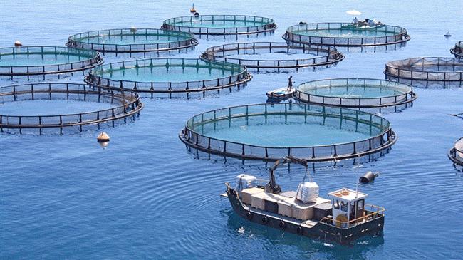 Επιστροφή ΕΦΚ:  Προϋποθέσεις, δικαιολογητικά και διαδικασία απαλλαγής