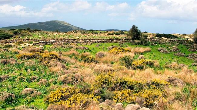 Νέα εγκύκλιος για κυριότητα σε δάση, δασικές, χορτολιβαδικές και βραχώδεις εκτάσεις