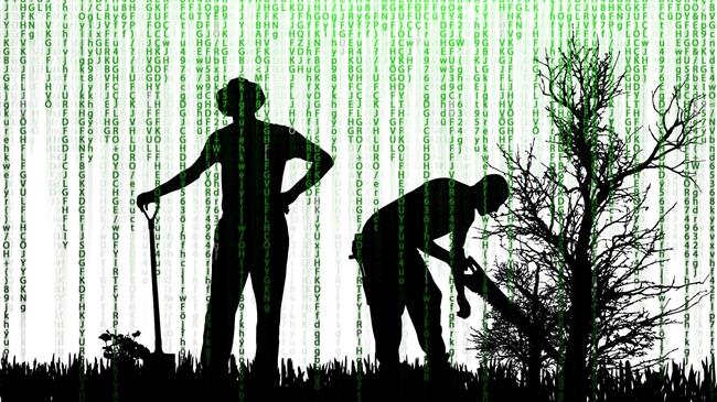 Ποιος κωδικός του ΟΠΕΚΕΠΕ αφήνει απλήρωτους τους παραγωγούς