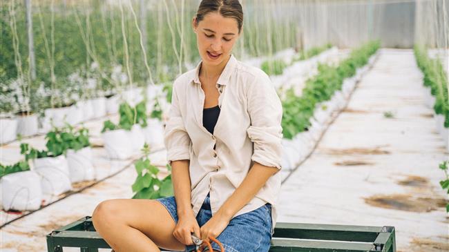 Τελικά δόθηκε παράταση στο πρόγραμμα των νέων αγροτών