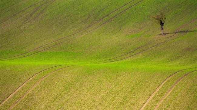 Ποιο είναι το όφελος των παραγωγών από την Κοινή Αγροτική Πολιτική 2014-2020;