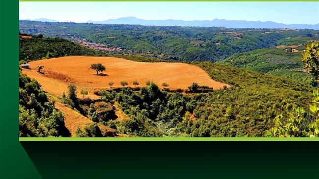 «ΓΕΩΡΓΙΑ ΝΕΑ ΓΕΝΙΑ» - «ΙΔΡΥΜΑ FOLLOE»: εγκαινιάζουν συνεργασία για την ανάπτυξη του αγροδιατροφικού τομέα στο χωριό Μηλιές Ηλείας