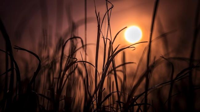 Κλιματική αλλαγή: Πόλη της Αυστραλίας έβρασε στην ακραία θερμοκρασία των 50,7 βαθμών Κελσίου