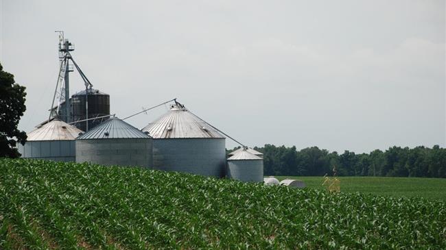 Λιβανός: Θα κερδίσουμε το στοίχημα για ανάκαμψη
