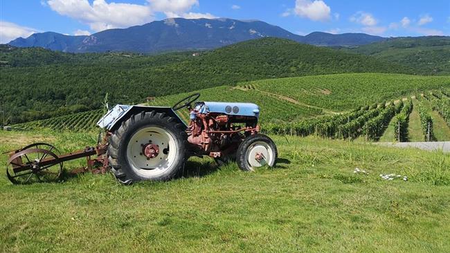 Το Στρατηγικό Σχέδιο της ΚΑΠ 2023-2027 που υποβλήθηκε στην Ευρωπαϊκή Επιτροπή