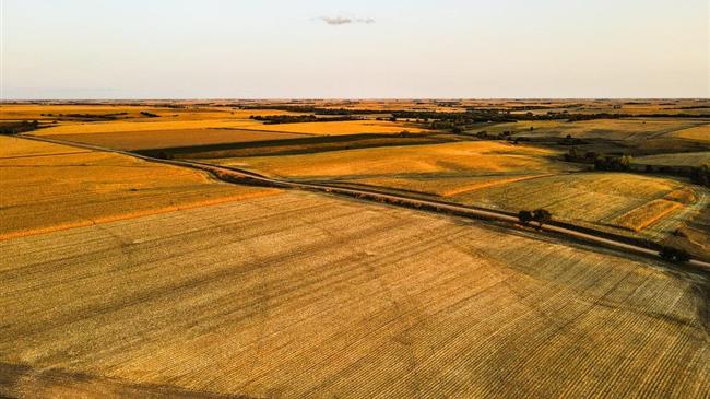 Είναι τελικά ακριβή η γεωργία στη χώρα μας;