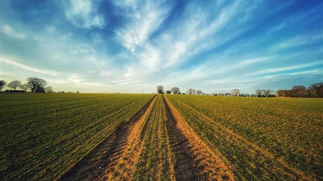 Προκηρύχθηκε το Μέτρο 16