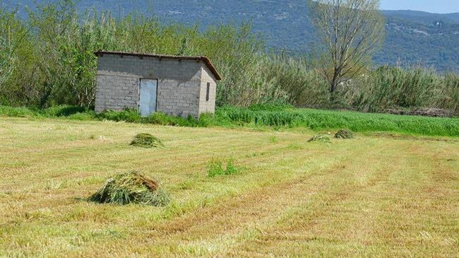 Επέκταση των μέτρων στήριξης από τις επιπτώσεις της διεθνούς ενεργειακής κρίσης στις αγροτικές επιχειρήσεις που είναι συνδεδεμένες στη Μέση Τάση