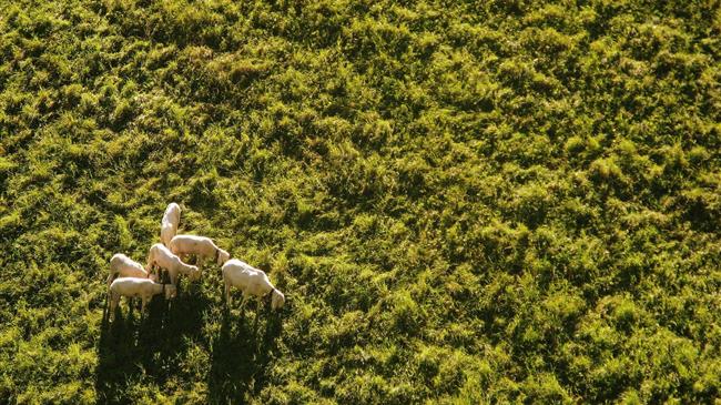 Αυξημένη κατά 14 εκατ. η Εξισωτική Αποζημίωση