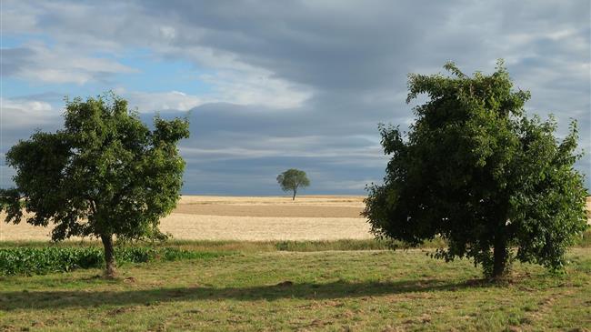 ΟΠΕΚΕΠΕ: Σκάνδαλο σε συγκάλυψη – Αγρότες σε απόγνωση