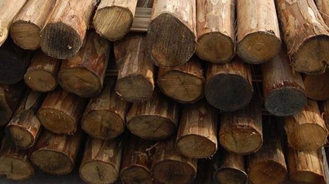 Πόσο επιβλαβής είναι η θέρμανση με καυσόξυλα;