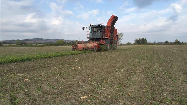 Καταγγελία των προδομένων τευτλοπαραγωγών