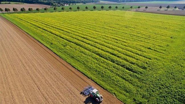 Δεκτά και έντυπα μισθωτήρια για το ΟΣΔΕ του 2022