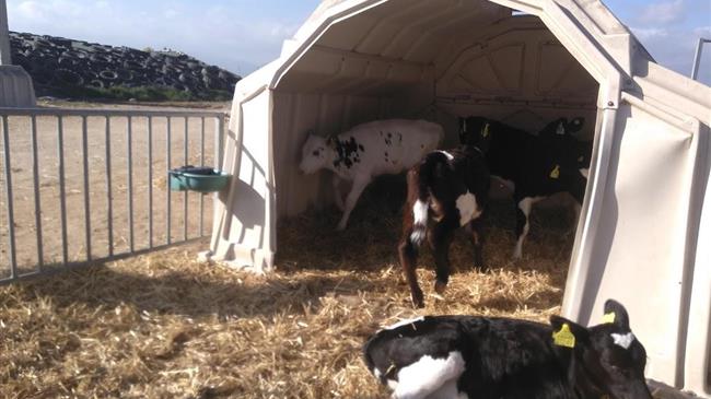 Συνάντηση σε θετικό κλίμα η συνάντηση Κεδίκογλου, Μπαγινέτα με τον πρόεδρο της ΕΦΧΕ, Ηλία Κοτόπουλου