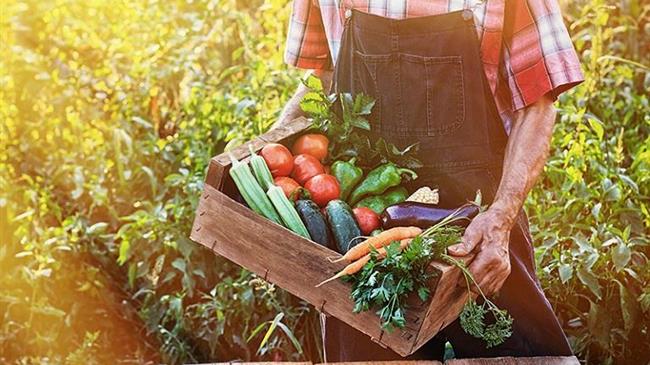 Γεωργία: To εμπόριο αγροδιατροφικών προϊόντων της ΕΕ συνεχίζει να καταγράφει σημαντική άνοδο