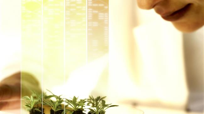 Η Bayer προσκαλεί ερευνητές από όλο τον κόσμο να συμμετάσχουν στο νέο πρόγραμμα Testing4Ag