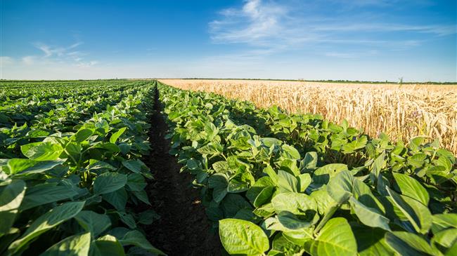 Farm of the Future: Η δοκιμαστική φάρμα της Syngenta προτείνει καινοτόμες τεχνολογίες