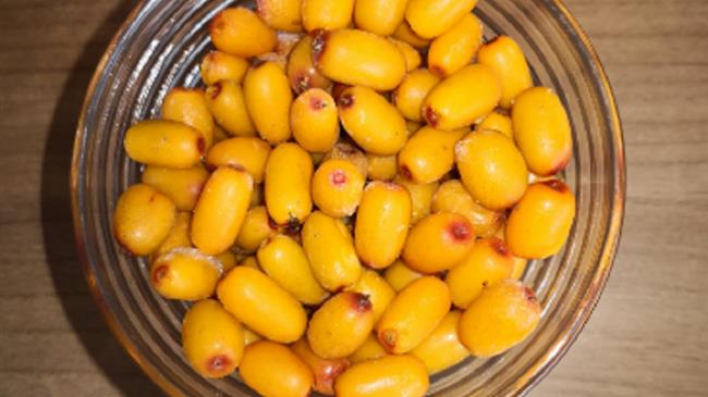 Ένα από τα καλύτερα στον κόσμο θεωρείται το ελληνικό ιπποφαές