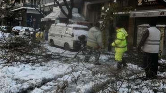 11 συνεργεία υλοτόμων για την απόληψη πεσμένων δένδρων στις περιοχές που σημειώνονται τα μεγαλύτερα προβλήματα