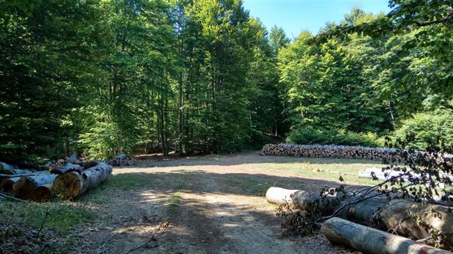 Κιλκίς: Δάσος Κούπας-Επίσημα στην Ομοσπονδία Ευρωπαϊκών Πάρκων