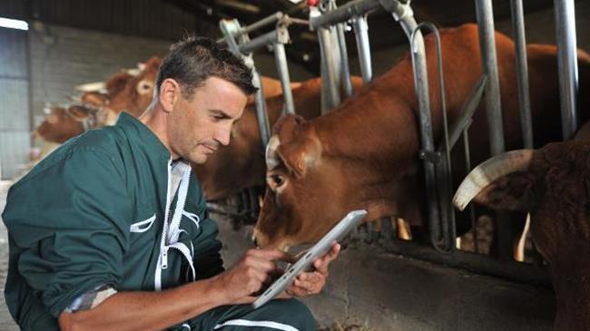 ΕΛΓΑ: Ανακοινώθηκαν οι πίνακες πρόσληψης έξι κτηνιάτρων