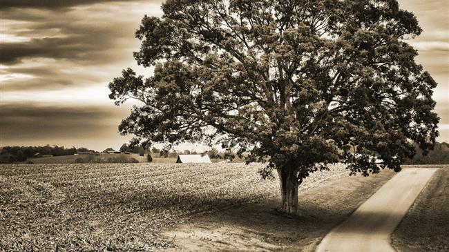 Οι αναλυτές τραπεζών κάνουν λόγο για «την τέλεια αγροτική καταιγίδα» φόβοι για αυξήσεις και ελλείψεις στα αγροτικά προϊόντα