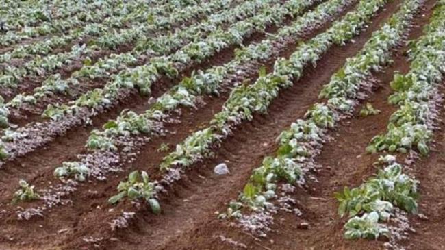 ΕΛΓΑ: Αιτήσεις για τις θεομηνίες 2019