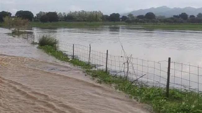 ΣΥΡΙΖΑ Δυτικής Αχαΐας: Φρούδες ελπίδες οι υποσχέσεις του Υπ. Αγροτικής Ανάπτυξης