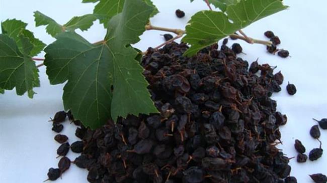 Η τιμή της κορινθιακής σταφίδας