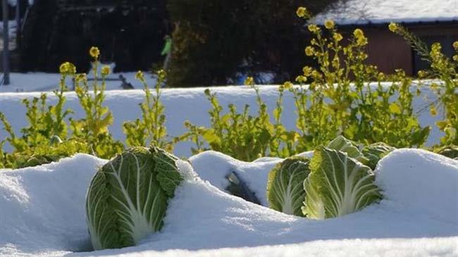 ΑΣ Θηβών: Ότι γνωρίζατε μέχρι τώρα ΤΕΛΕΙΩΣΕ
