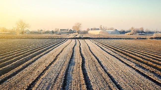 Βγήκε το ΦΕΚ η απόφαση για τη χορήγηση επιδότησης σε καταναλωτές ηλεκτρικής ενέργειας με παροχές αγροτικής χρήσης